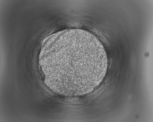 X0000116871201201001191715