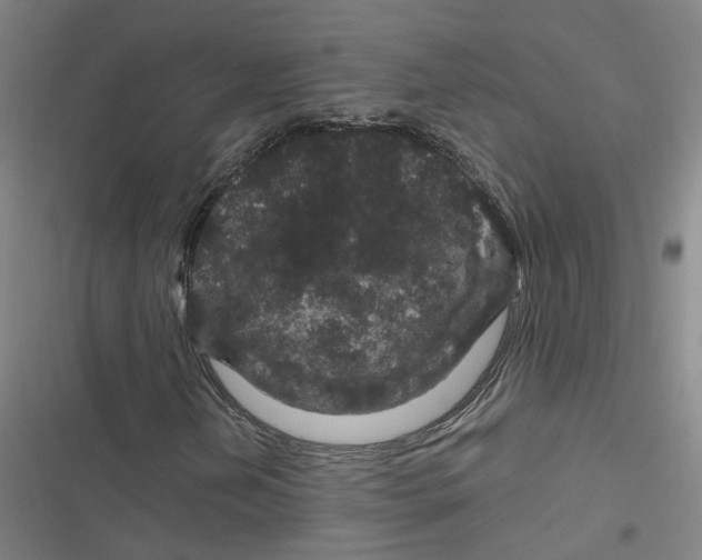 X0000116871202201001191715