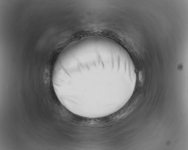 X0000116871203201001191715