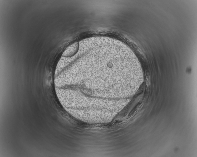 X0000116871204201001191715
