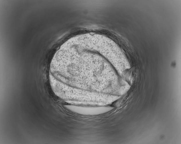 X0000116871205201001191715