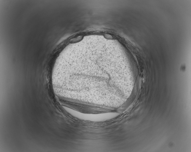X0000116871206201001191715
