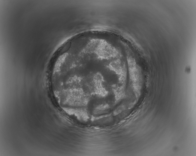 X0000116871208201001191715