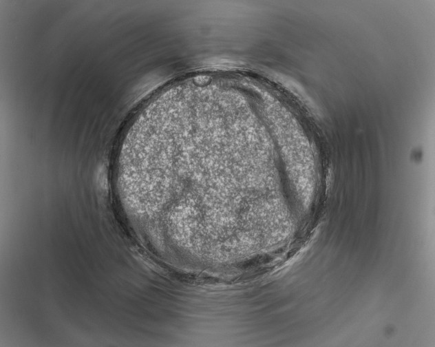 X0000116871209201001191715