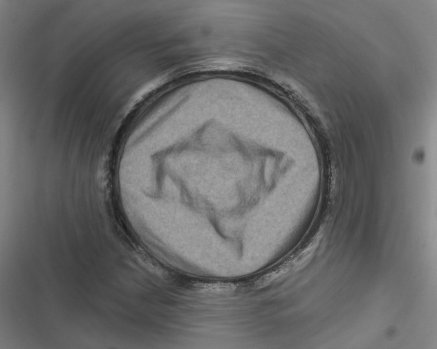 X0000116871210201001191715