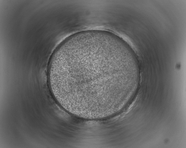 X0000116871212201001191715