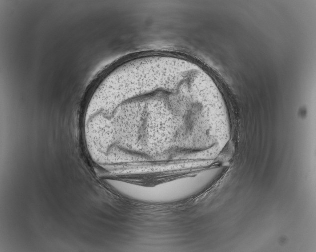 X0000116871214201001191715