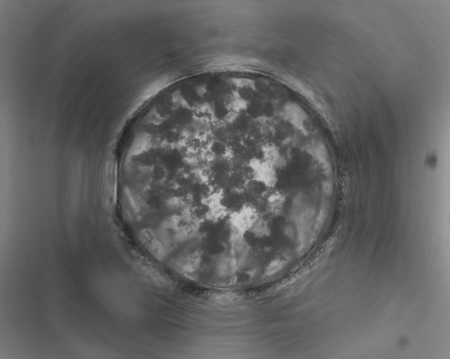 X0000116871219201001191715