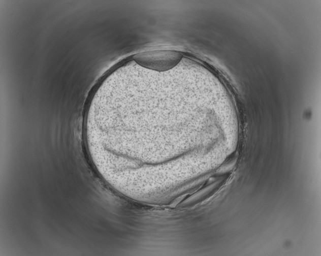 X0000116871220201001191716