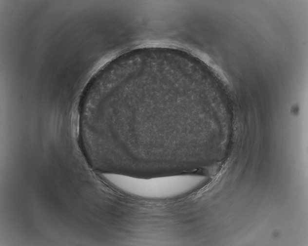 X0000116871221201001191716