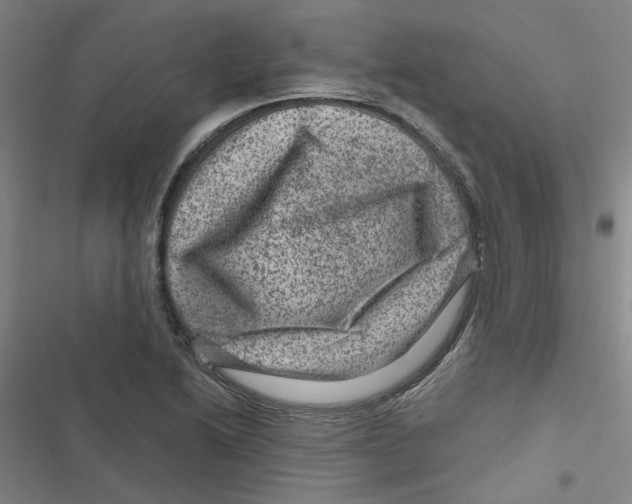 X0000116871222201001191716