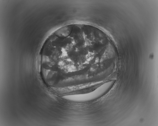 X0000116871223201001191716