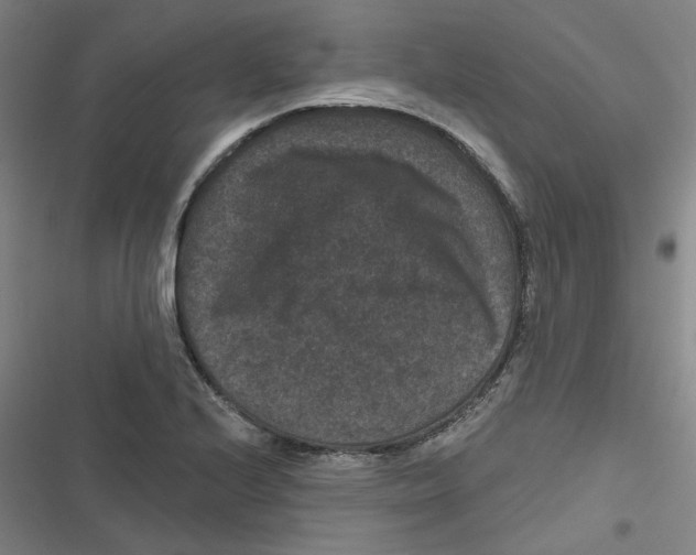 X0000116871224201001191716