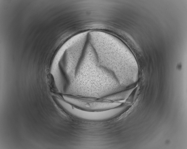 X0000116871225201001191716