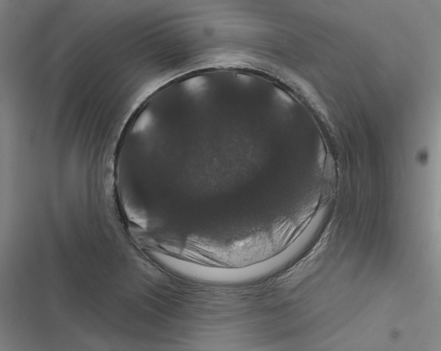 X0000116871226201001191716