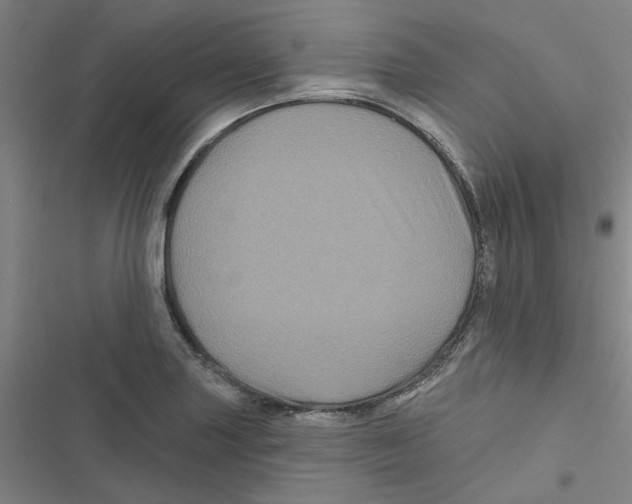 X0000116871227201001191716