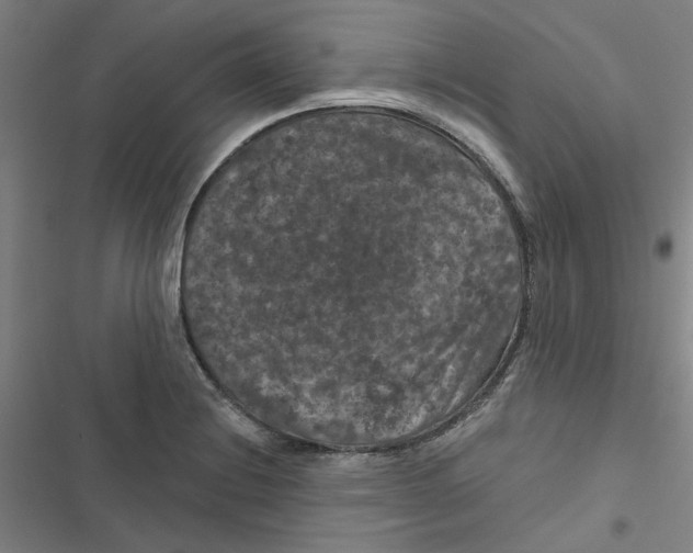 X0000116871228201001191716