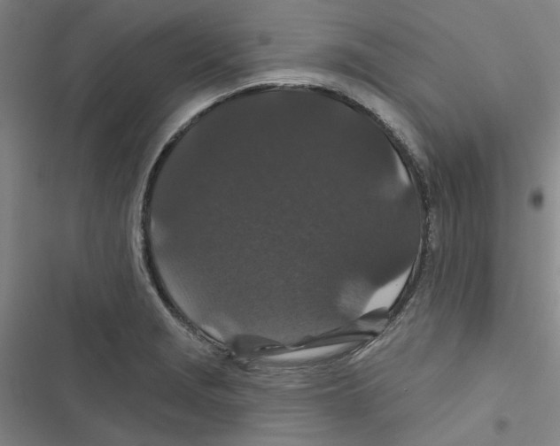 X0000116871229201001191716