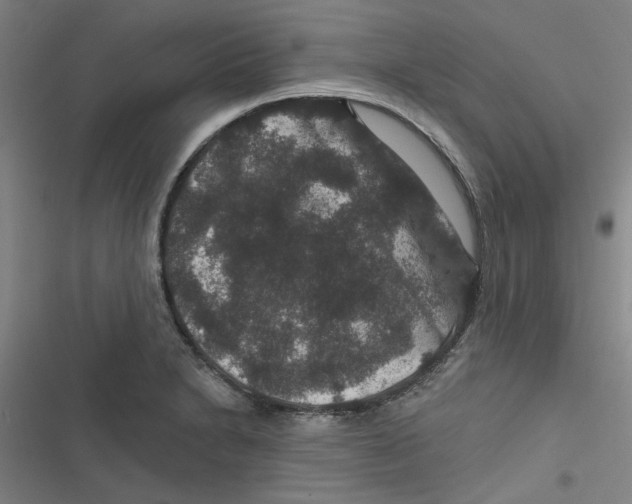 X0000116871230201001191716