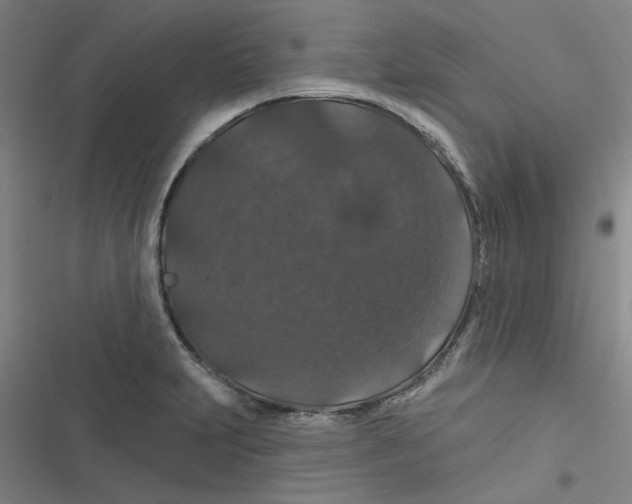 X0000116871231201001191716