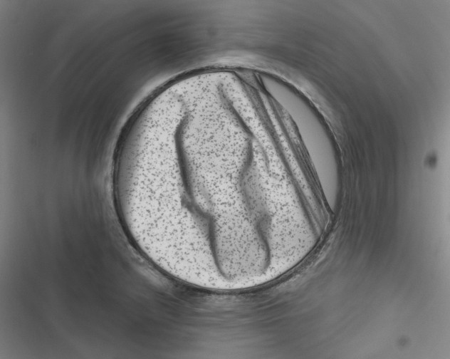 X0000116871232201001191716