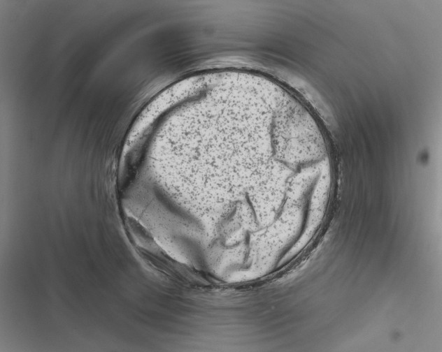 X0000116871233201001191716