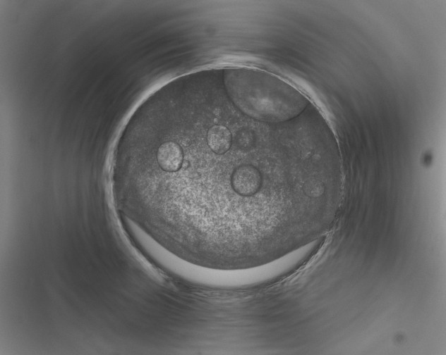 X0000116871235201001191716