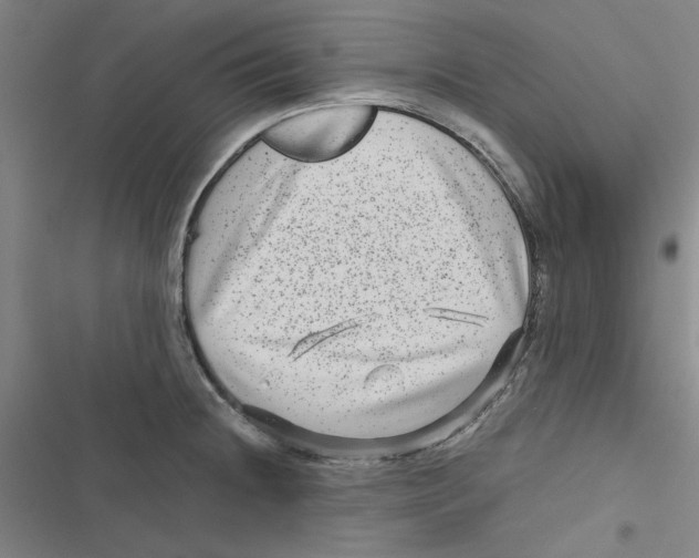 X0000116871236201001191716