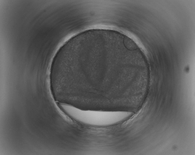 X0000116871237201001191716