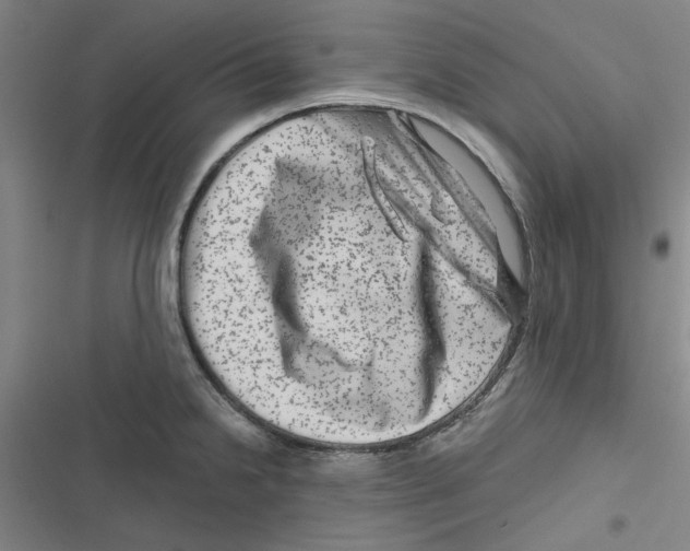 X0000116871238201001191716