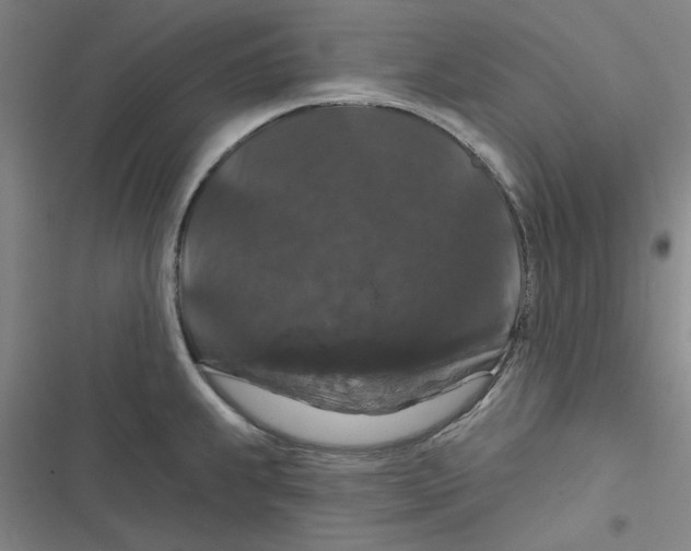 X0000116871239201001191716