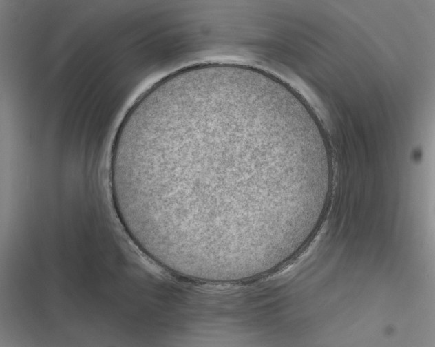 X0000116871240201001191716