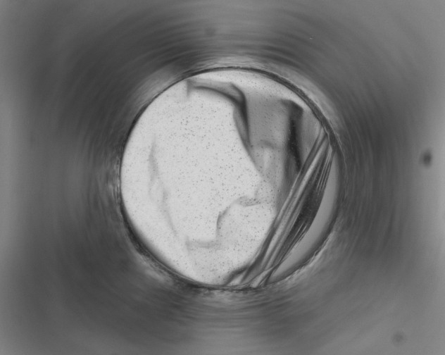 X0000116871241201001191716