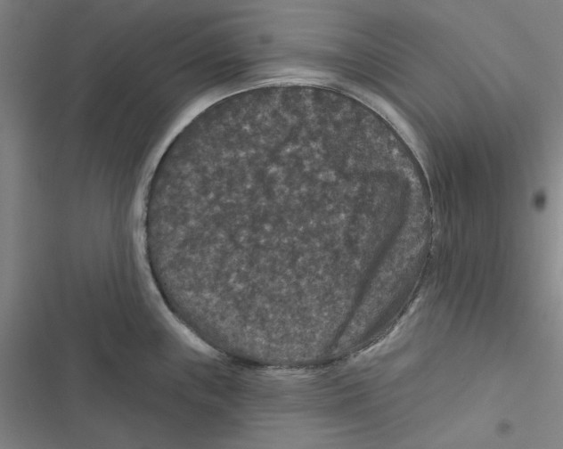 X0000116871243201001191716
