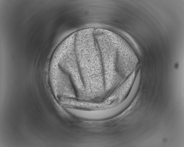 X0000116871244201001191716