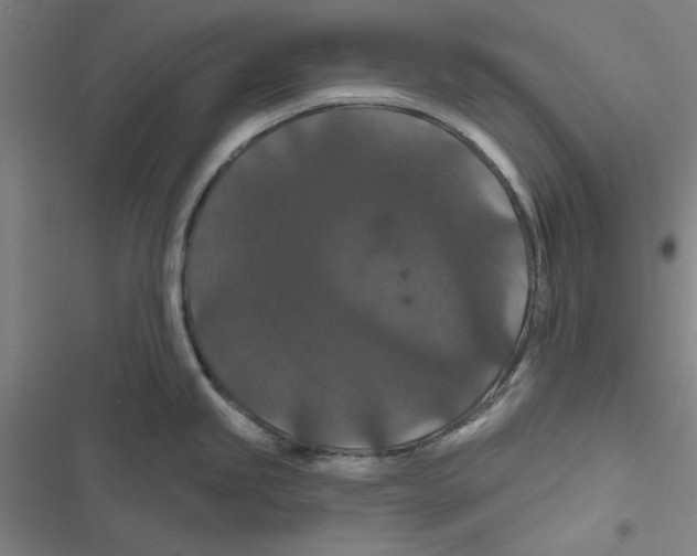 X0000116871245201001191716