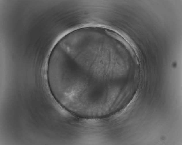 X0000116871246201001191716