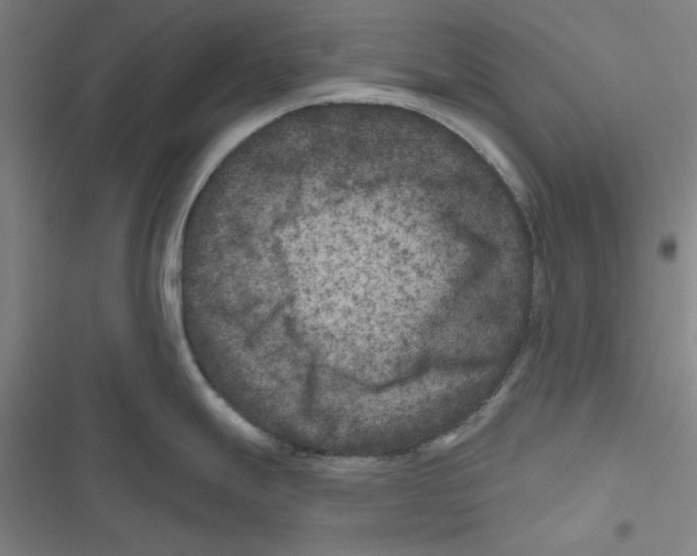X0000116871247201001191716