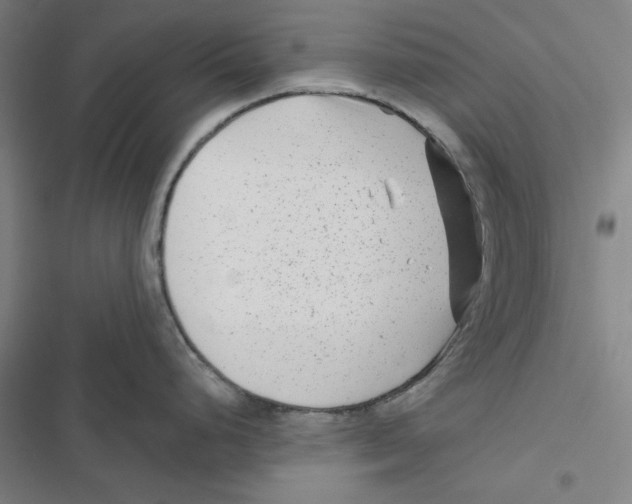 X0000116871248201001191716
