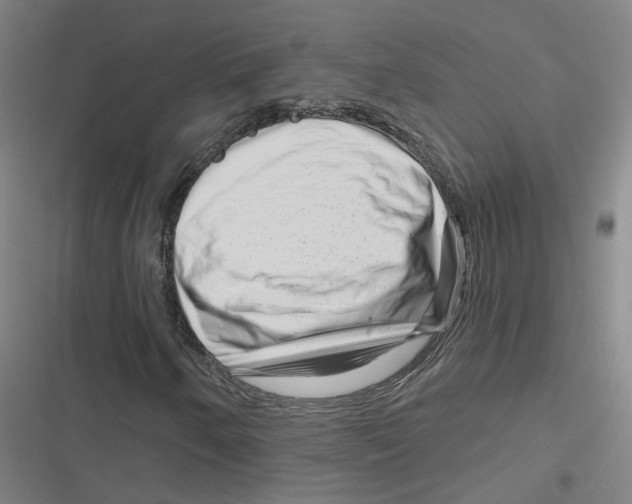 X0000116871250201001191715