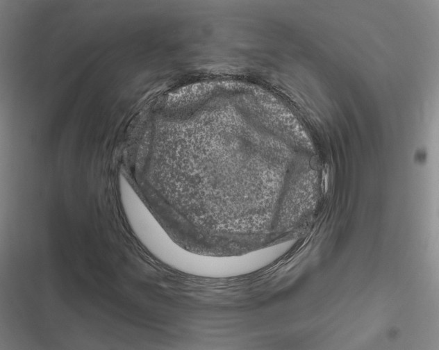 X0000116871251201001191715