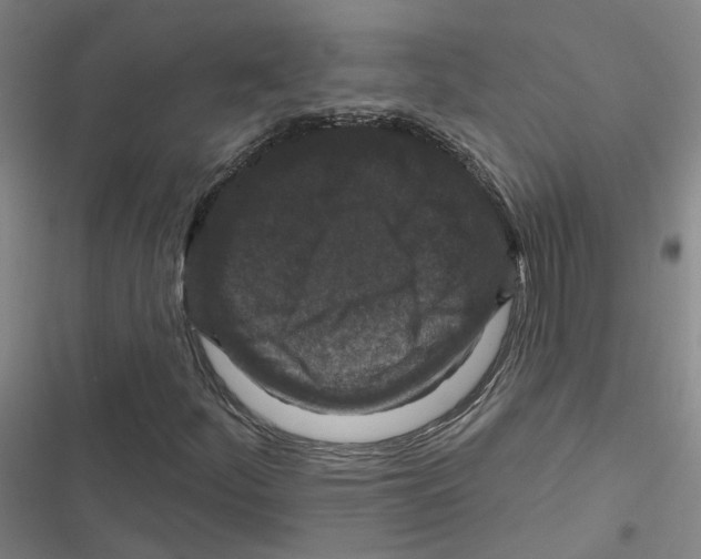 X0000116871252201001191715