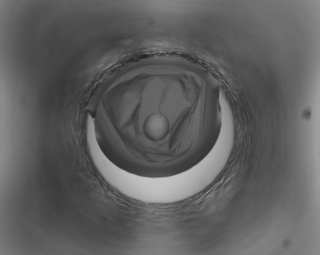 X0000116871253201001191715