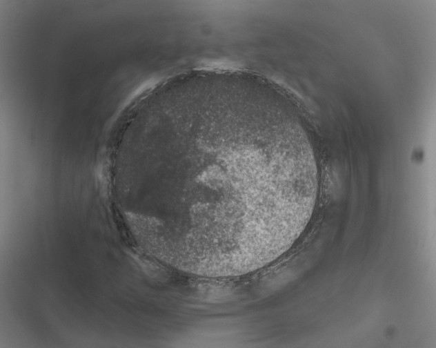 X0000116871254201001191715