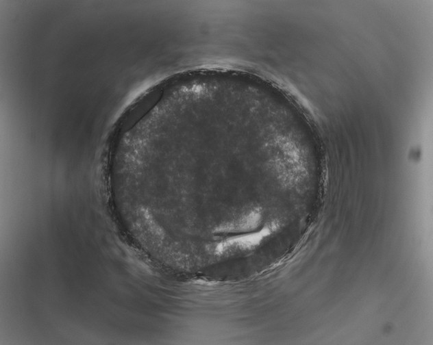 X0000116871256201001191715