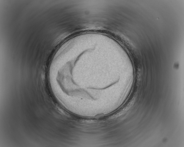 X0000116871257201001191715