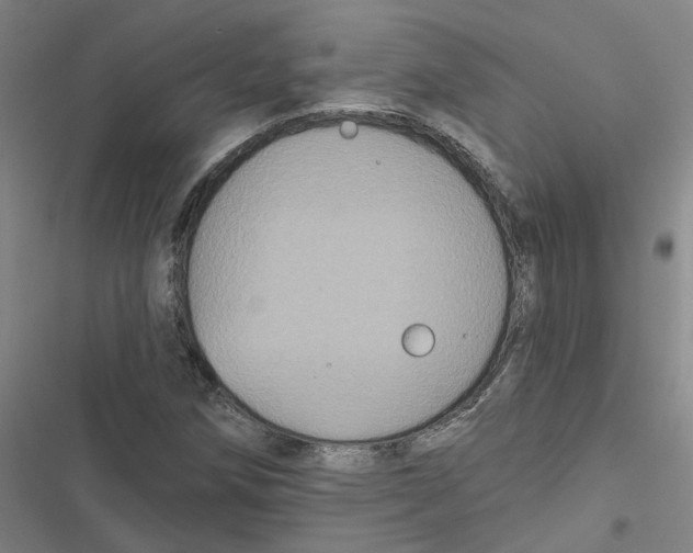 X0000116871258201001191715