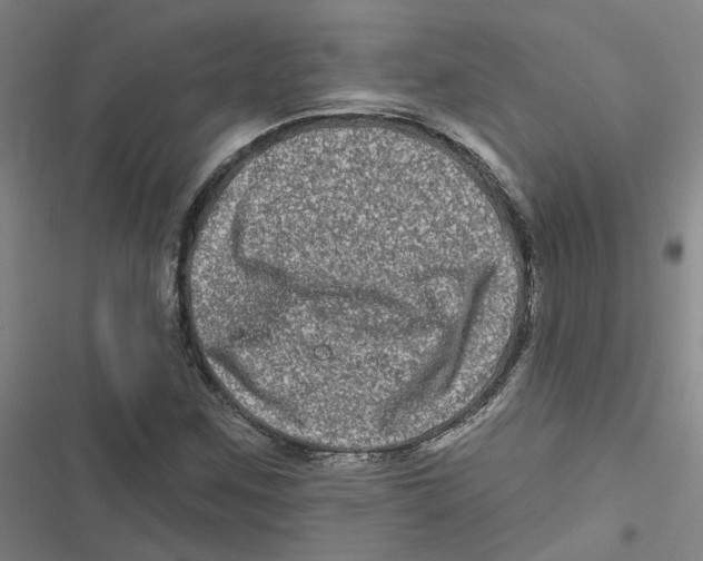 X0000116871259201001191715