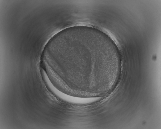 X0000116871260201001191715