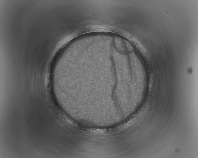 X0000116871261201001191715